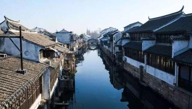 组装机械章鱼龙